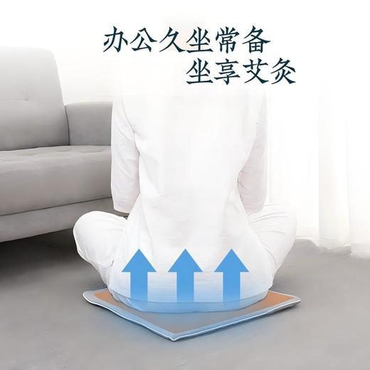 给屁股开空调！少艾堂 艾草养生凉感坐垫 天然凉感 久坐不闷 坐灸养生多场景适用 商品图0
