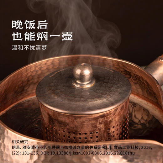玄云川·2014年金花藏茶 | 进阶原叶系列 | 100g原叶 | 黑茶类 商品图3