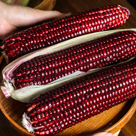 【顺丰包邮】新鲜可即食 非转基因 | 红宝石水果玉米 新鲜玉米 杂粮粗粮食材 4斤装 [加热会掉色，是正常现象] 商品图3