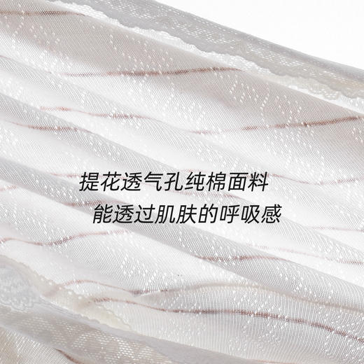 舒妍娜精梳棉蕾丝边内裤 10A底档 精梳棉面料柔软蓬松 提花透气孔工艺舒适不闷 甜美蕾丝边设计 商品图1