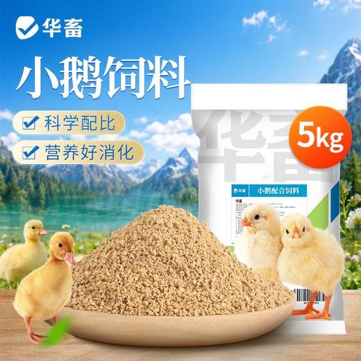华畜小鹅配合饲料破碎颗粒开口料高蛋白肉鹅钓鱼饵料全价料 商品图0