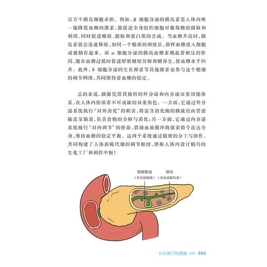 健康中国 我行动癌症防治科普丛书 胰腺癌 郝继辉 围绕防筛诊治康5个方面进行编撰 24个胰腺癌防治核心科普知识 人民卫生出版社 商品图4