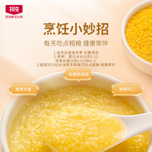 【瓶装有机黄小米两罐】北纯 有机黄小米430g（瓶装）*2瓶 商品图3