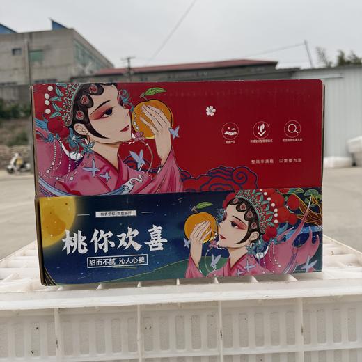 山东蒙阴黄油桃 现摘现发产地直达 商品图3