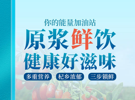 福寿康宁红枸杞原浆 商品图4