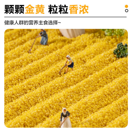 【有机黄小米营养好吸收】北纯 敖汉有机黄小米2.5kg 商品图4