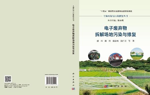 电子废弃物拆解场地污染与修复 滕应等 9787030804440 商品图2
