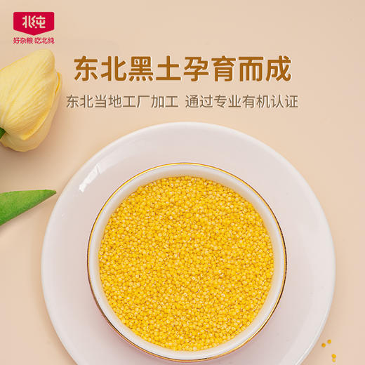 【瓶装有机黄小米两罐】北纯 有机黄小米430g（瓶装）*2瓶 商品图1