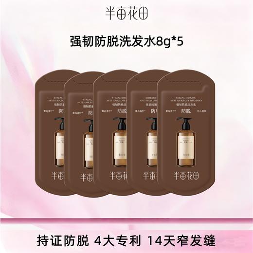 【39.9元任选5件】【复购联系客服有惊喜】【退款不发货】30ml（8g*5）防脱洗发水 商品图0