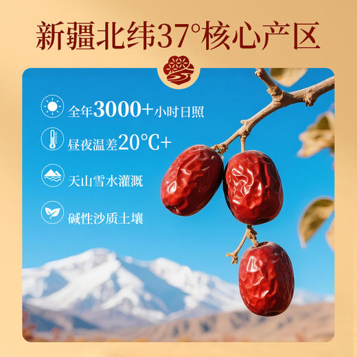 楼兰蜜语有机红枣（灰枣特级）500g 商品图1