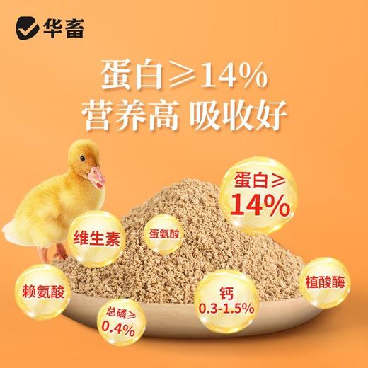 华畜小鹅配合饲料破碎颗粒开口料高蛋白肉鹅钓鱼饵料全价料 商品图1