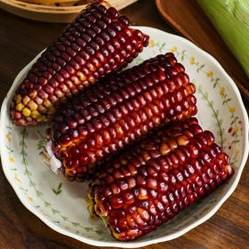【顺丰包邮】新鲜可即食 非转基因 | 红宝石水果玉米 新鲜玉米 杂粮粗粮食材 4斤装 [加热会掉色，是正常现象]