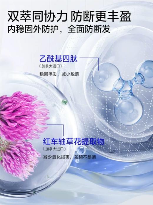 【6边形防脱战士 倍量密发更控油】EHD国货防脱固发洗发水400ml/瓶（国妆特字20241933、专利号ZL202410139042.7） 商品图11