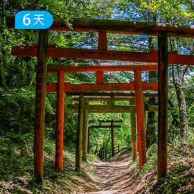 熊野古道+高野山丨世界遗产轻徒步全巡礼  三大古老温泉疗愈  素斋禅修  当地美食赏味 6日