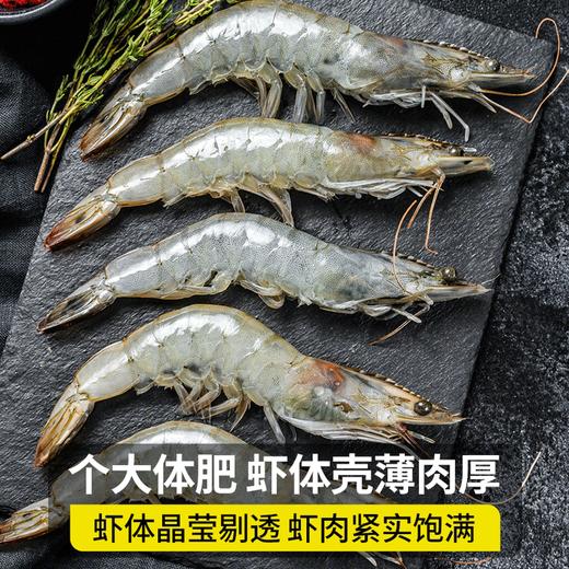 【SLSY】活虾  30-40只1斤 商品图0