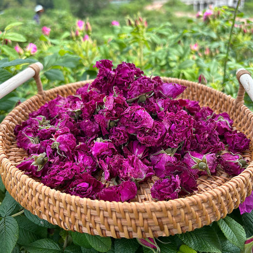 有机玫瑰花茶/花冠茶丨精选有机种植重瓣玫瑰花冠茶，无硫磺、无香精、无色素、无农残，22g/罐⭐顺丰快递 商品图2