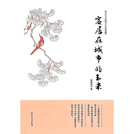 客居在城市的玉米 商品图0