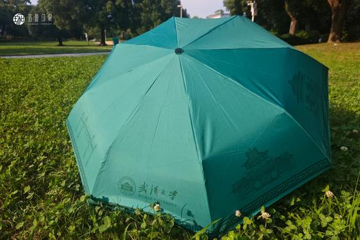 武大珞珈自动雨伞 商品图6