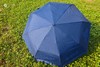 武大珞珈自动雨伞 商品缩略图4