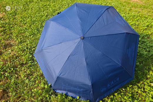 武大珞珈自动雨伞 商品图4