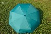 武大珞珈自动雨伞 商品缩略图3