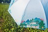 武大珞珈全景晴雨伞 商品缩略图1