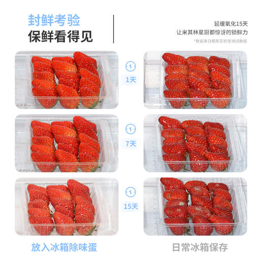 日本进口 冰箱保鲜蛋 250g/个 A-4820（效期28-5） 商品图7