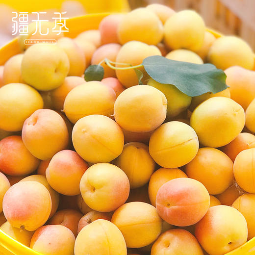 疆无季 新疆阿克苏小红杏 一杏两吃（杏肉蜜甜+杏仁香脆）当季鲜果 树上自然熟 商品图5