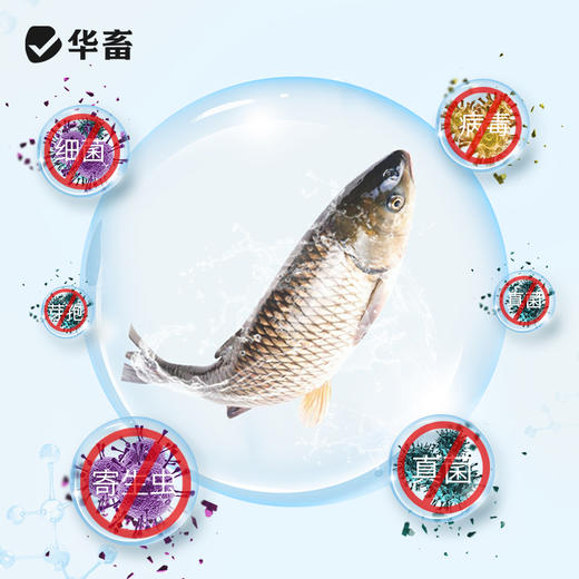 【积分兑换】华畜复合碘溶液500ml 水产专用立体消毒刺激性小 商品图1