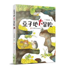刘海栖作品系列 豆子地大冒险  少年成长励志小说读物小学生课外阅读书籍儿童文学