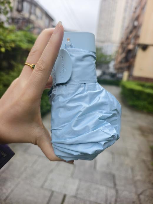 【CSOGUNUK卡片太阳伞】15色可选，送便携拎包  CSOGUNUK卡片动物印花防晒伞 防紫外线  晴雨两用 超轻折叠小巧  便携拎包 商品图12