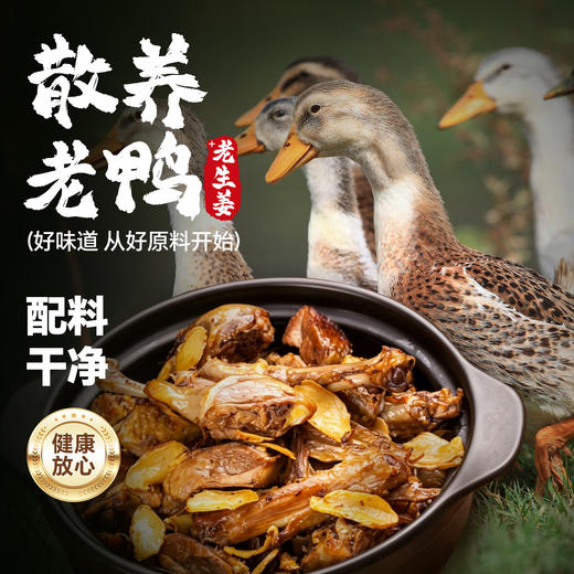 【配料干净】阿呆姜母鸭550g盒装福建厦门特产闽南风味卤味熟食鸭肉伴手礼 商品图1
