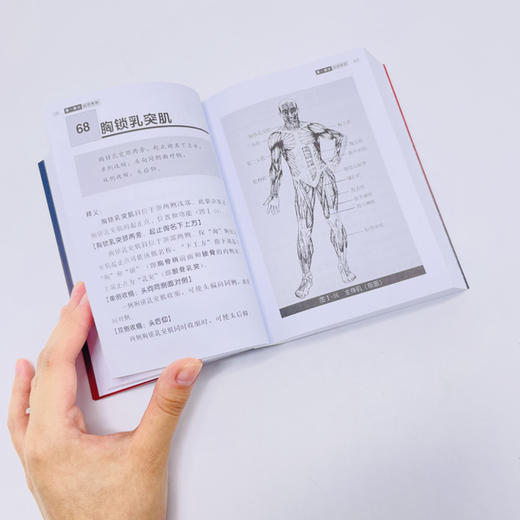 人体解剖学实用歌诀（第五版） 商品图4