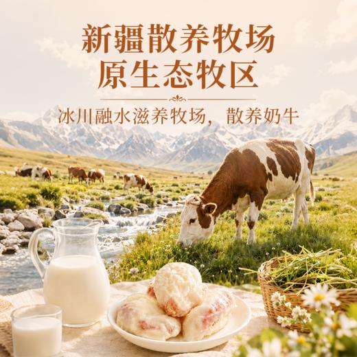 营养食光·新疆特色奶芙杏 | 牛奶与杏干组合在一起的独特味道，层次说不出的奇妙与丰富！ 商品图3
