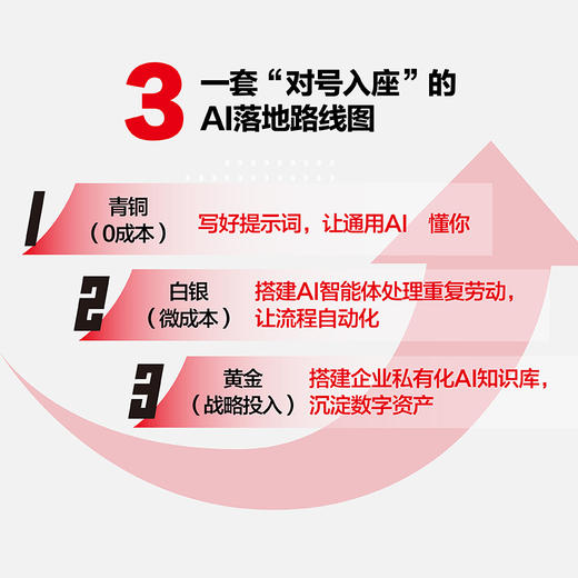 AI营销进化论：企业的*增长密码 AI营销全流程实操落地模型多行业解决方案企业提效管理书籍 商品图4