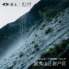 [非遗鉴赏]名枞品鉴铝盒 奇丹/奇兰/瓜子金/黄玫瑰/雪梨/千里香/雀舌 商品缩略图5