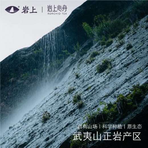 [非遗鉴赏]名枞品鉴铝盒 奇丹/奇兰/瓜子金/黄玫瑰/雪梨/千里香/雀舌 商品图5