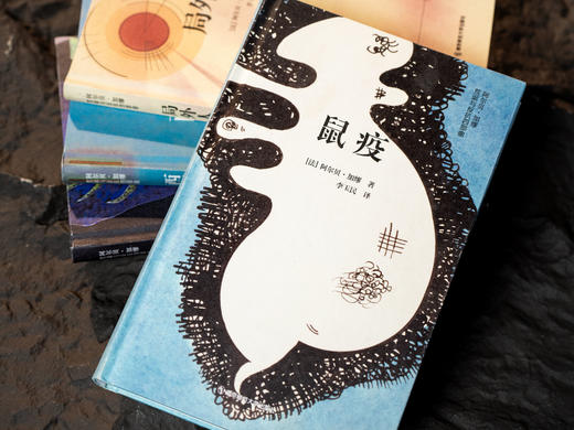 十点出版｜加缪：荒诞与反抗四部曲  4册诺奖珍藏版|装帧走心、翻译丝滑，马尔克斯、蒋勋、周国平盛赞，本本权威，陪你对抗人生的荒诞与虚无，一生典藏 商品图7