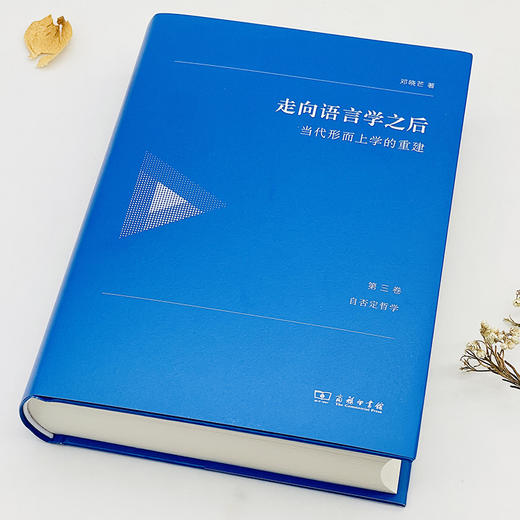 走向语言学之后：当代形而上学的重建(第三卷：自否定哲学) 商品图2