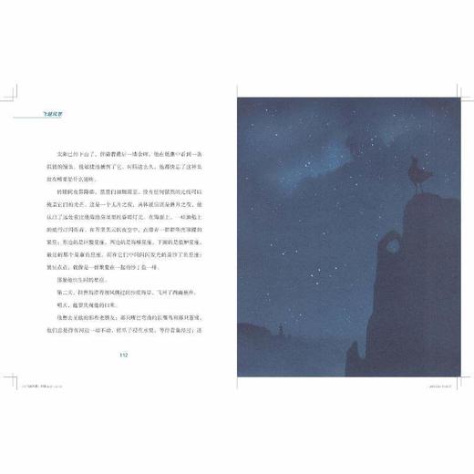 飞越风暴 学生课外阅读书籍儿童文学读物寒假暑假经典阅读书目 商品图2