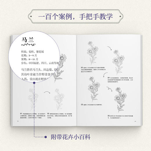 花相琉璃 常见花卉线描入门教程 花卉植物线描绘画技法教程临摹图册 花卉线稿入门画册手绘临摹 附赠练习册和部分教学视频 商品图1