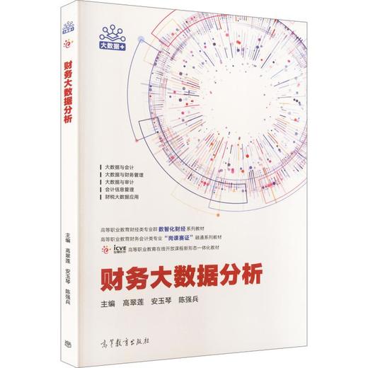 财务大数据分析 商品图0