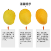 【排单发货】极客生态芒果（圣德龙）| 香味浓郁，甜度高，自然生态种植，到货需催熟⭐️顺丰快递 商品缩略图4