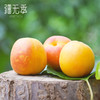疆无季 新疆阿克苏小红杏 一杏两吃（杏肉蜜甜+杏仁香脆）当季鲜果 树上自然熟 商品缩略图4
