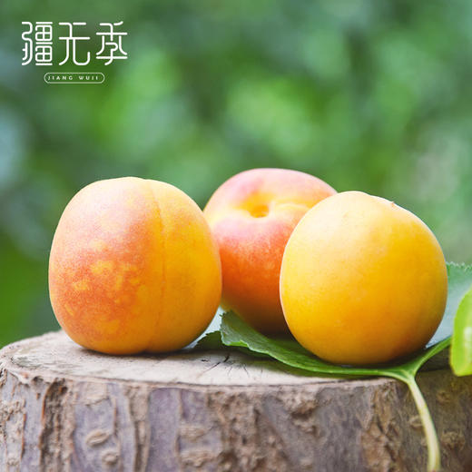 疆无季 新疆阿克苏小红杏 一杏两吃（杏肉蜜甜+杏仁香脆）当季鲜果 树上自然熟 商品图4
