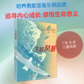 飞越风暴 学生课外阅读书籍儿童文学读物寒假暑假经典阅读书目