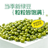 【QT】整袋大粒绿豆 商品缩略图2