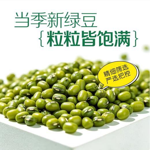 【QT】整袋大粒绿豆 商品图2