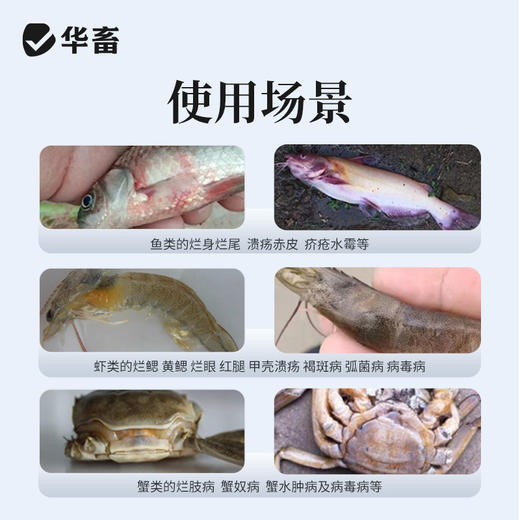 【积分兑换】华畜复合碘溶液500ml 水产专用立体消毒刺激性小 商品图3
