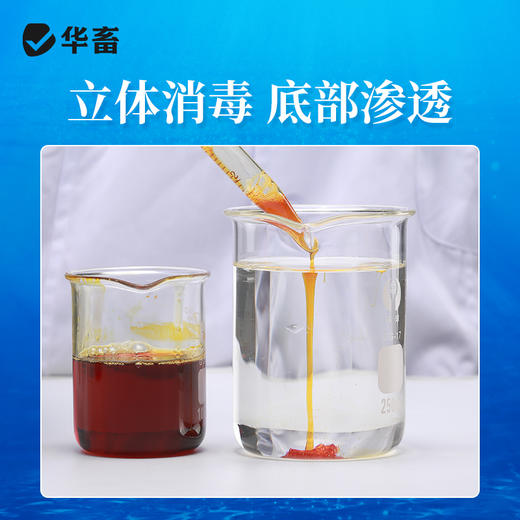 【积分兑换】华畜复合碘溶液500ml 水产专用立体消毒刺激性小 商品图2